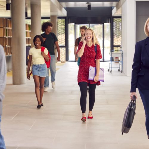 Oportunidades de educación superior en Panamá: oferta de licenciaturas actualizada